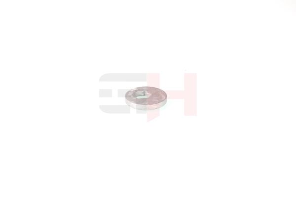 caster shim, sillatala, GH GH-391583