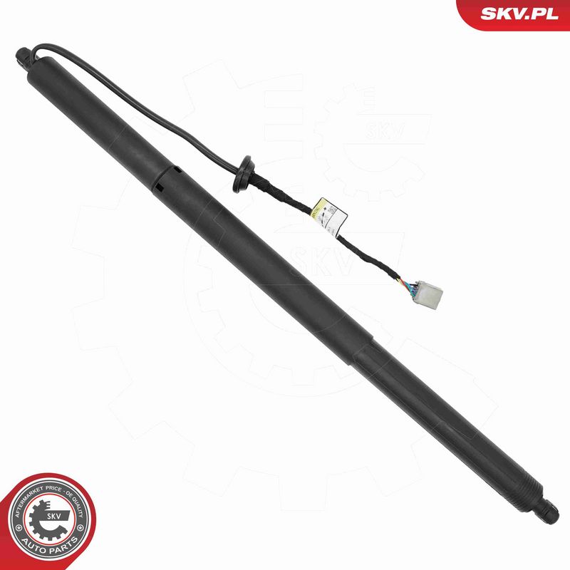 ESEN SKV 52SKV243 Electric Motor, tailgate