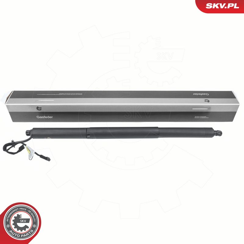 Elektrimootor, tagaluuk, ESEN SKV 52SKV973