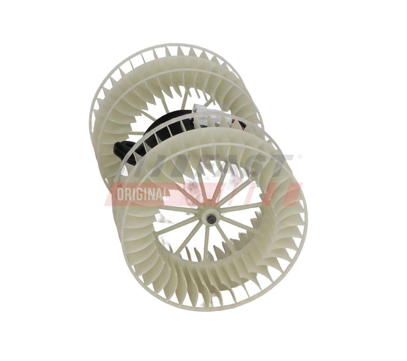 Salongipuhur, FAST FT13813