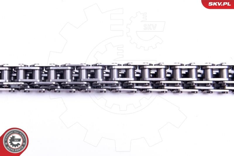 ESEN SKV 21SKV157 Timing Chain Kit