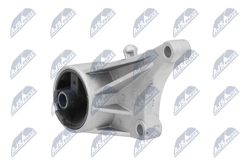 Paigutus, Mootor, NTY ZPS-PL-015