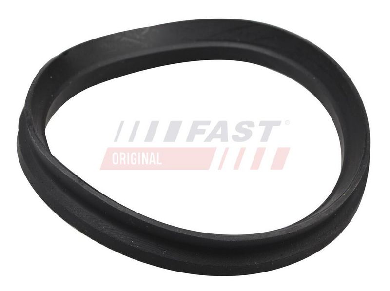 FAST FT12192 - Amortizatoriaus atraminės pagalvės tarpinė / guma