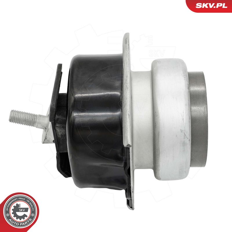 Paigutus, Mootor, ESEN SKV 75SKV254