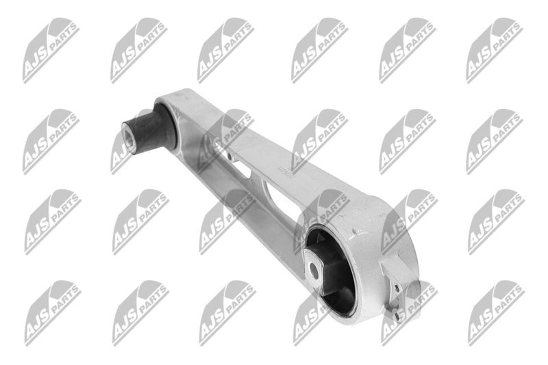 Paigutus, Mootor, NTY ZPS-CH-011