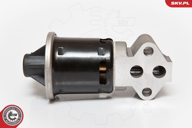 ESEN SKV 14SKV059 EGR Valve