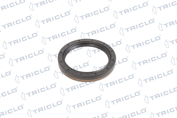 TRICLO tömítőgyűrű, sebességváltó 672882