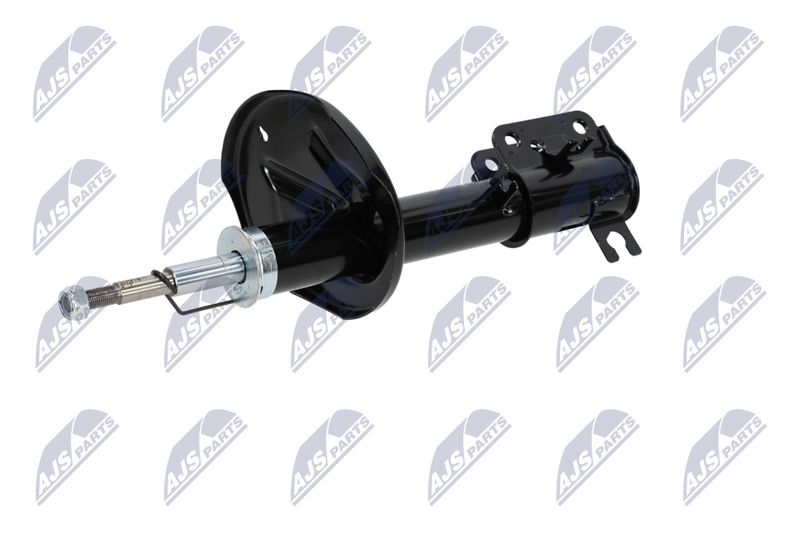 Amort, NTY A-CH-053