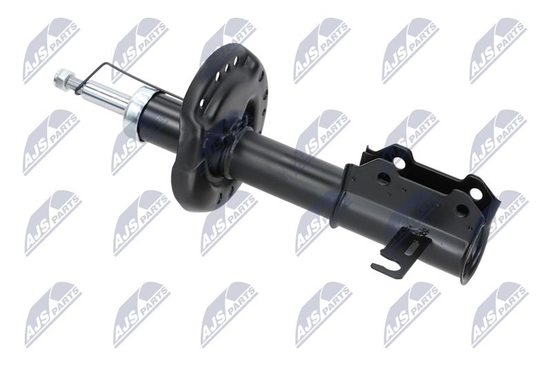 Amort, NTY A-PL-029