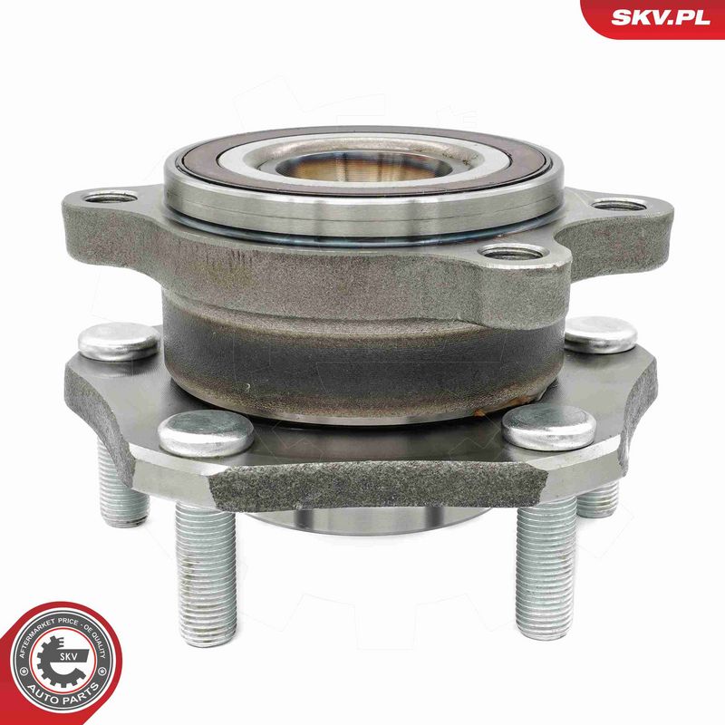 ESEN SKV 29SKV564 Wheel Bearing Kit