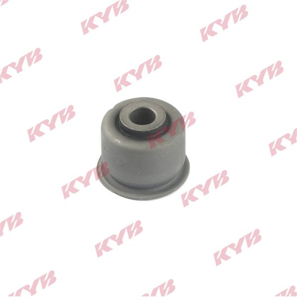 KYB-KCM1133.JPG