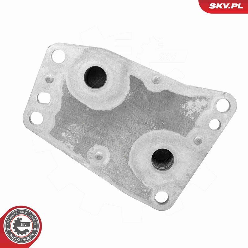 ESEN SKV 31SKV481 Oil Cooler, engine oil