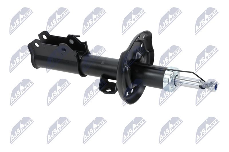 Amort, NTY A-PL-029