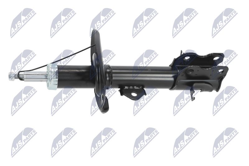 Amort, NTY A-NS-041