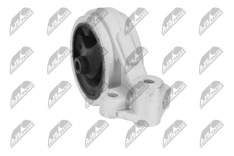 Paigutus, Mootor, NTY ZPS-KA-312