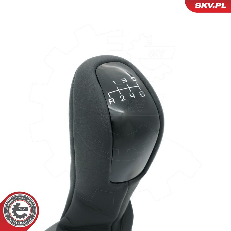 Käigukanginupp, ESEN SKV 63SKV509