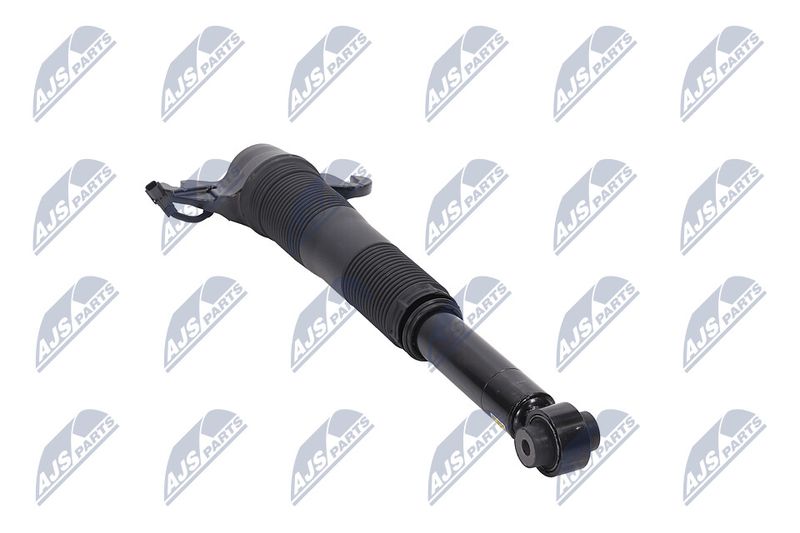 Amort, NTY A-LR-021