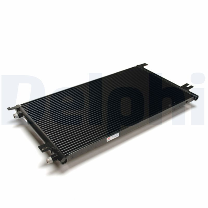 CF1108.JPG