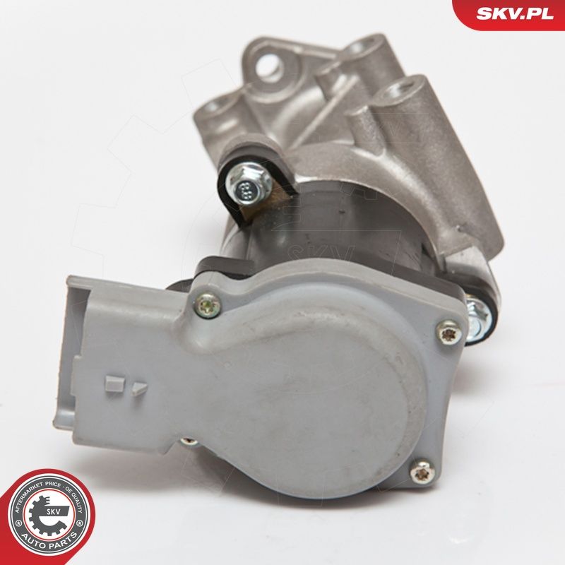 EGR-klapp, ESEN SKV 14SKV066