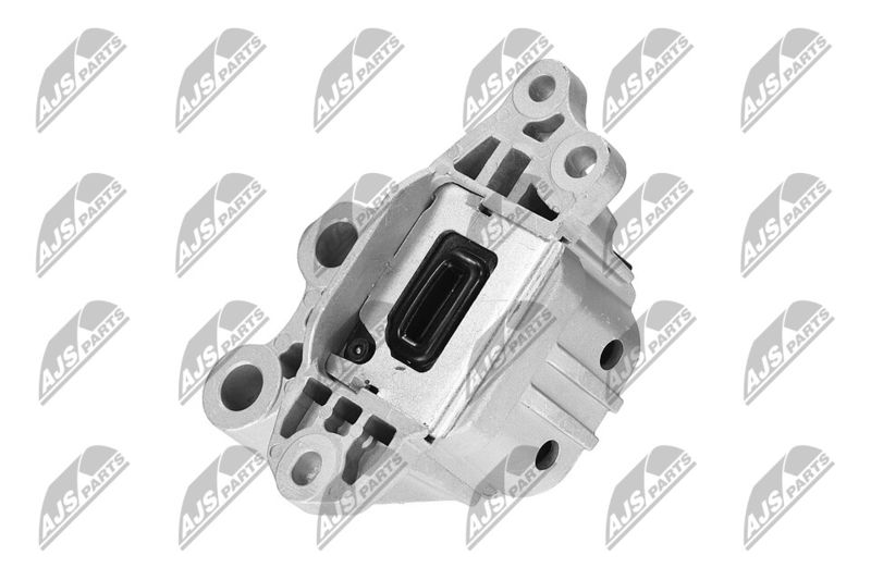 Paigutus, Mootor, NTY ZPS-CH-127