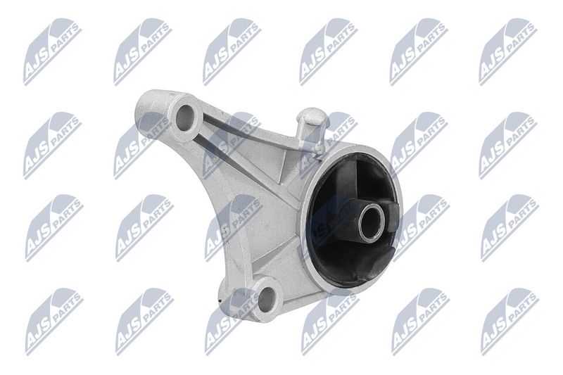 Paigutus, Mootor, NTY ZPS-PL-015