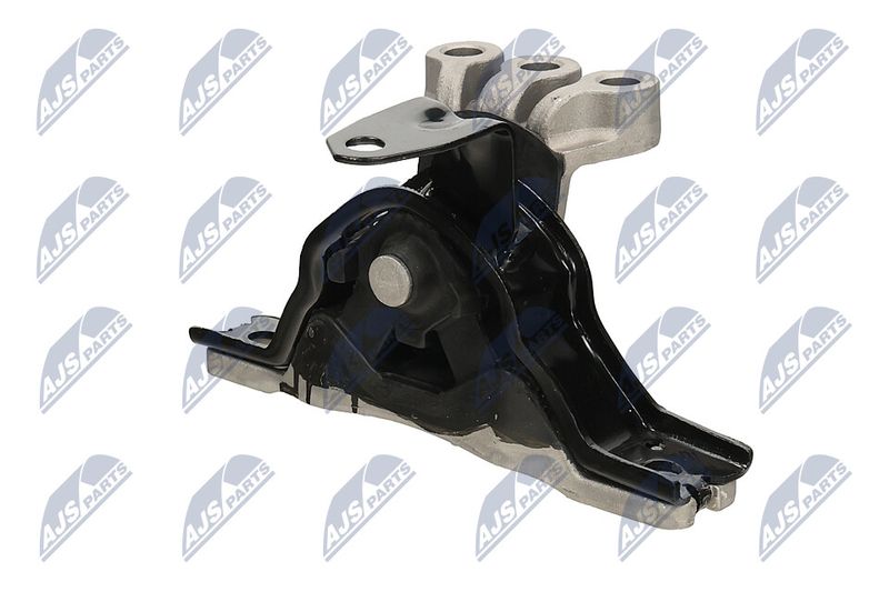 Paigutus, Mootor, NTY ZPS-PL-043