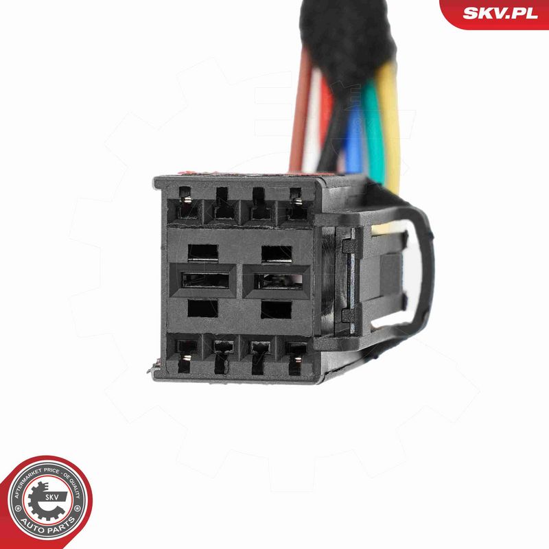 ESEN SKV 52SKV254 Electric Motor, tailgate