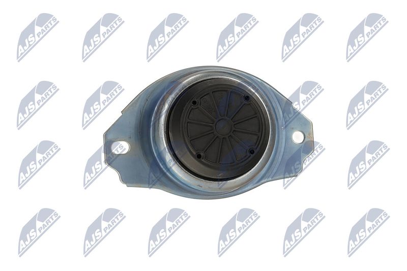 Paigutus, Mootor, NTY ZPS-LR-019