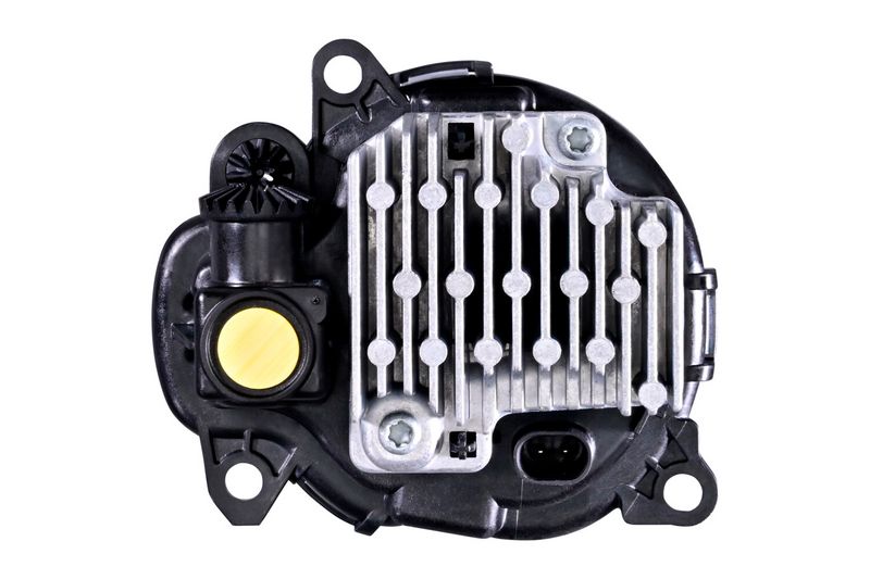 354899011_BACK_TD_1.JPG