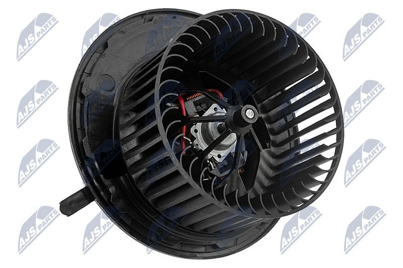 Salongipuhur, NTY EWN-ME-011