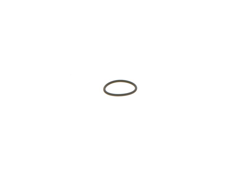 BOSCH 1928300277 Rubber Ring