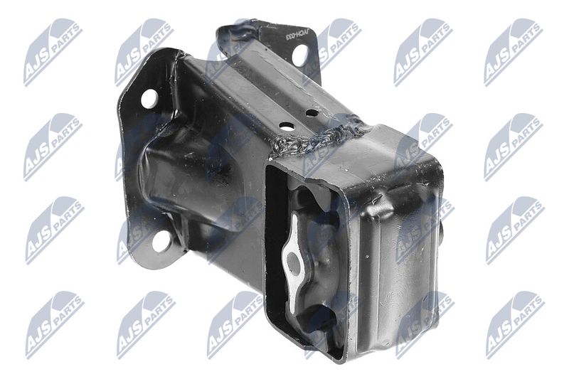 Paigutus, Mootor, NTY ZPS-CH-033