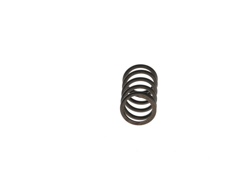 BOSCH F 00R 0P1 279 Spring