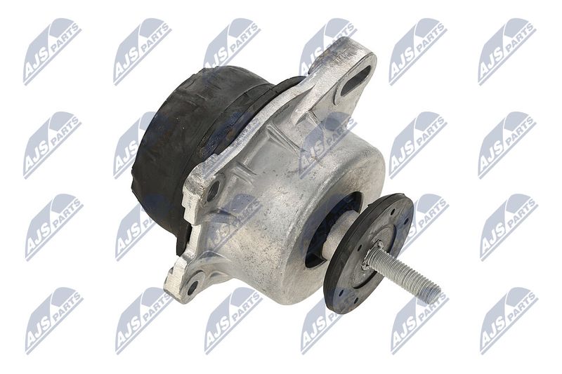 Paigutus, Mootor, NTY ZPS-FR-013