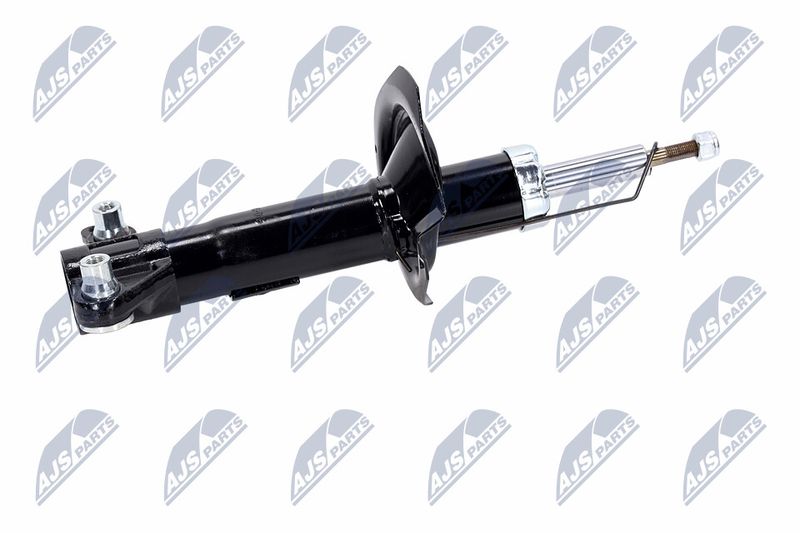 Amort, NTY A-NS-015