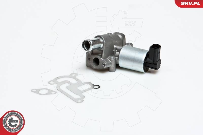 ESEN SKV 14SKV030 EGR Valve