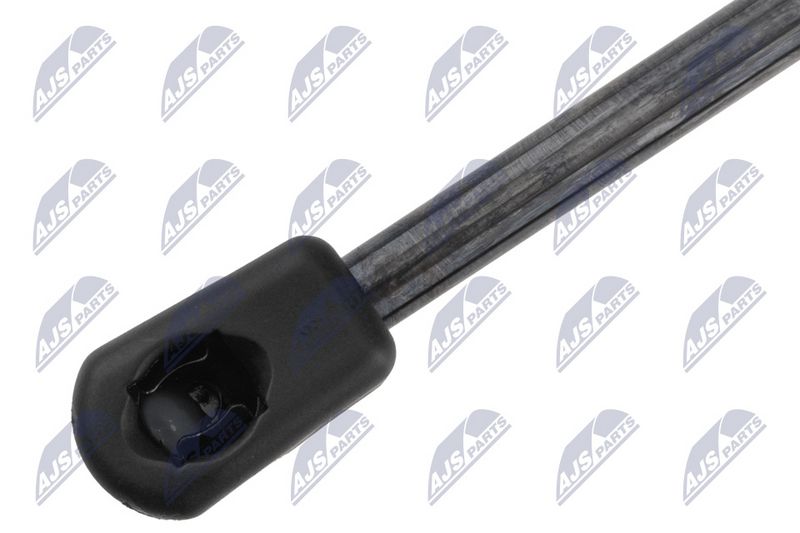 NTY AE-SB-010 Gas Spring, bonnet