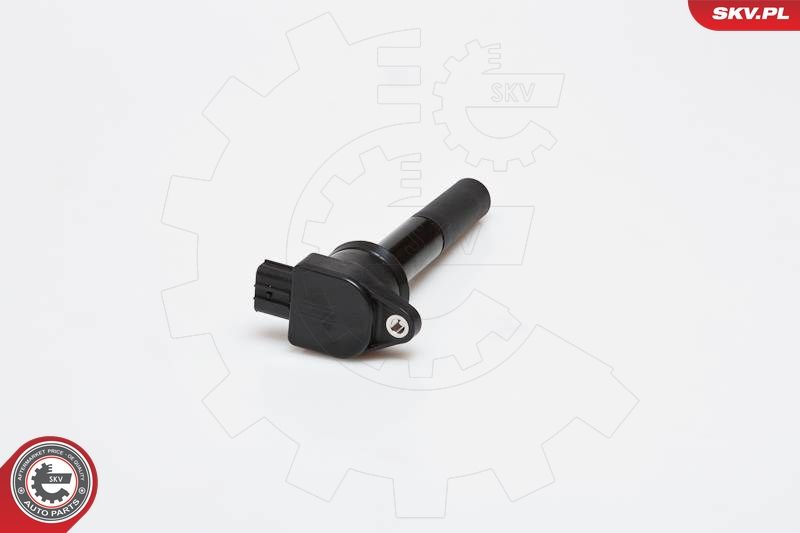 SKV_03SKV178_WM_01.JPG