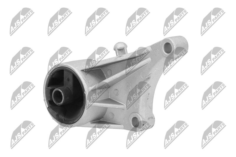 Paigutus, Mootor, NTY ZPS-PL-015