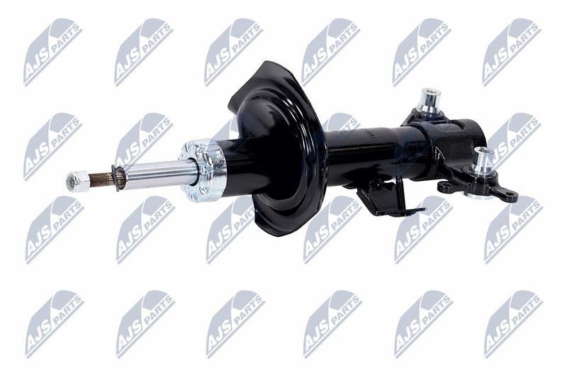 Amort, NTY A-NS-015