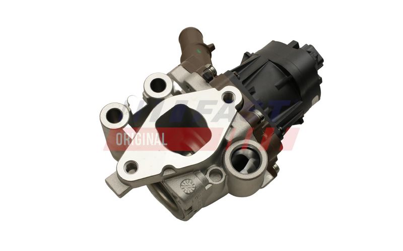 EGR-klapp, FAST FT60248