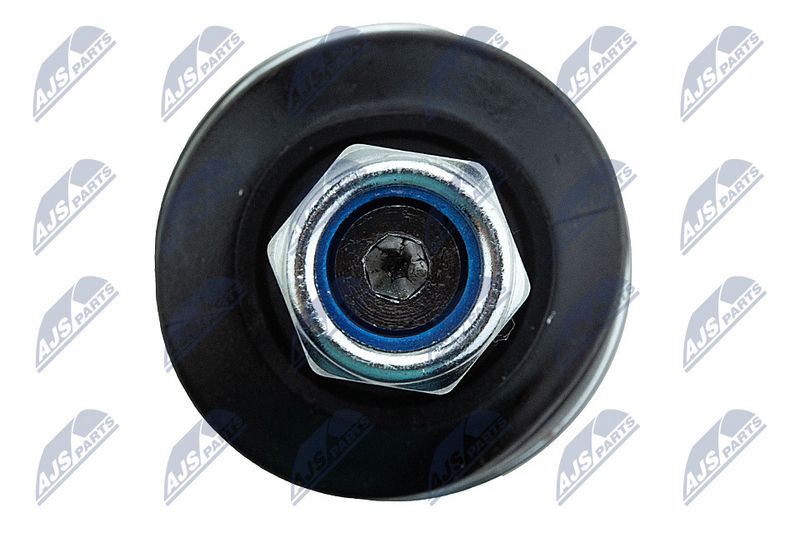 Kande-, juhtliigend, NTY ZSD-BM-010