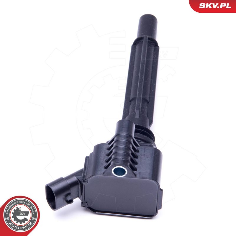 Süütepool, ESEN SKV 03SKV281