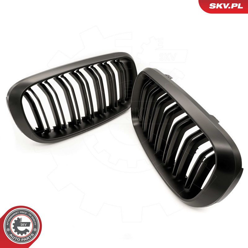 Radiaatorivõre, ESEN SKV 66SKV297