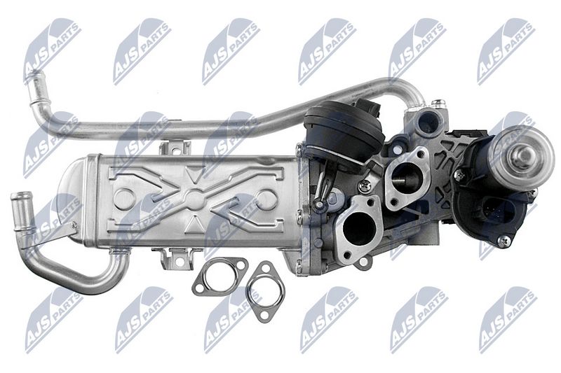 egr-vw-019_5-wm.JPG