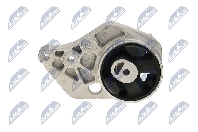 Paigutus, Mootor, NTY ZPS-CH-113