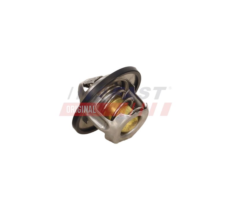Termostaat, Jahutusvedelik, FAST FT58009