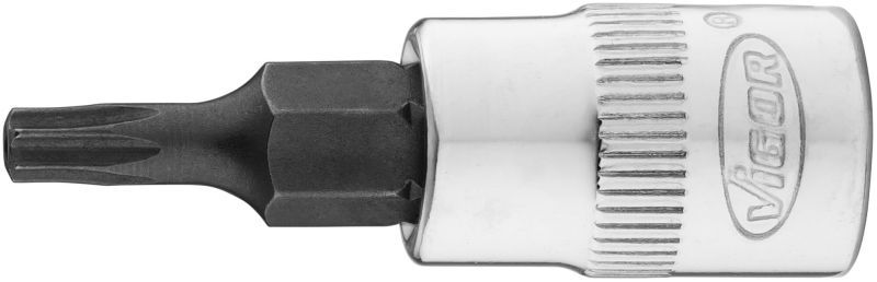 Padrun, VIGOR V2138N