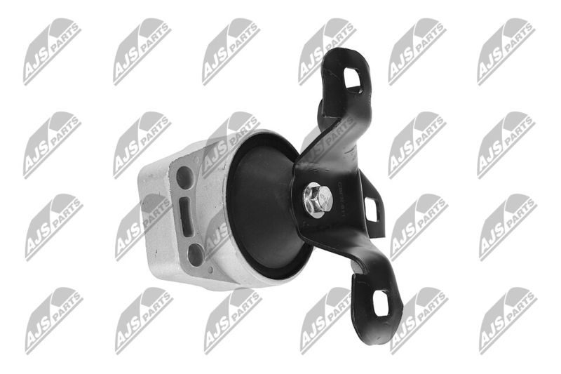 Paigutus, Mootor, NTY ZPS-FR-011