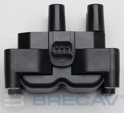 BRECAV 215.009 - Uždegimo ritė